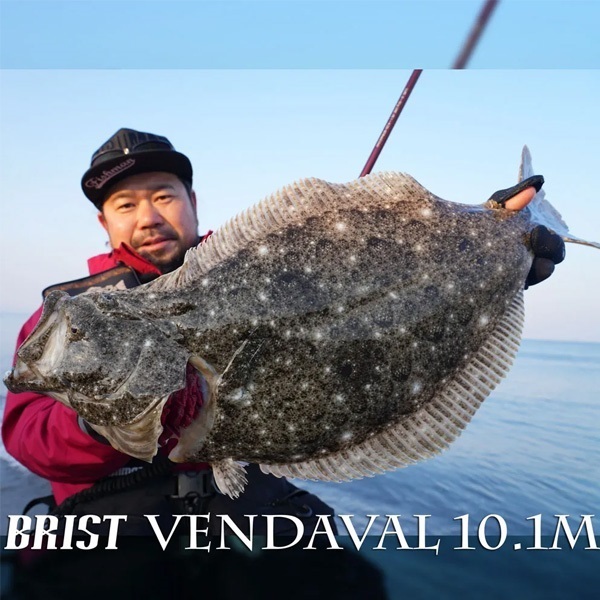 BRIST VENDAVAL